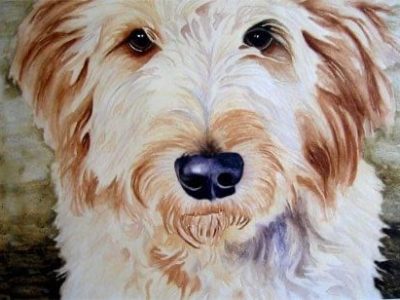 version=1&uuid=A25C386F-2988-4ABC-8A39-B00187F9A378&mode=compatible&noloc=0