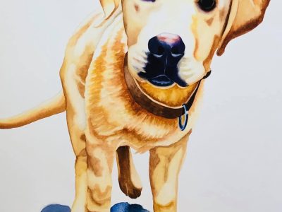 version=1&uuid=B5703AB3-014D-4407-8D71-0B2FD82D7AEB&mode=compatible&noloc=0